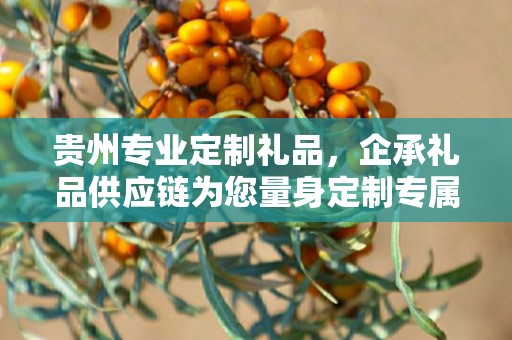 贵州专业定制礼品，企承礼品供应链为您量身定制专属礼品