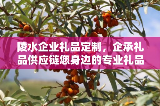 陵水企业礼品定制，企承礼品供应链您身边的专业礼品定制公司