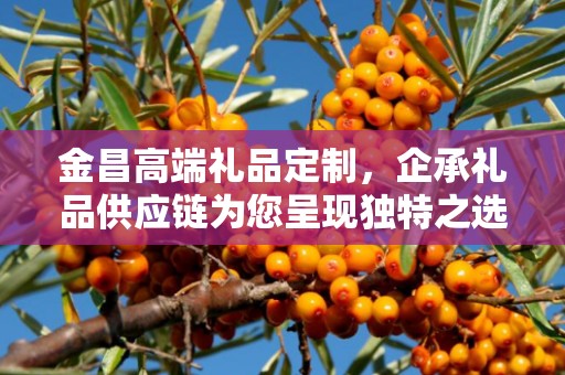 金昌高端礼品定制，企承礼品供应链为您呈现独特之选