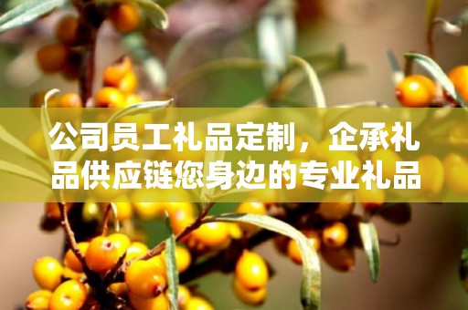 公司员工礼品定制，企承礼品供应链您身边的专业礼品定制公司